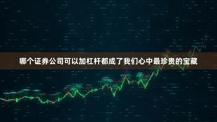 哪个证券公司可以加杠杆都成了我们心中最珍贵的宝藏