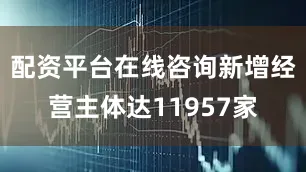 配资平台在线咨询新增经营主体达11957家